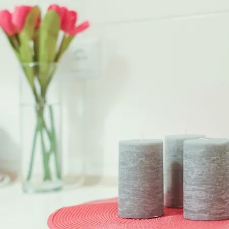 דירה Smart центр